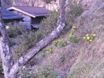 100220b.jpg