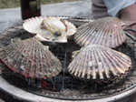 100502a.jpg