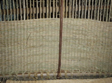100502g.jpg