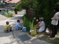903.jpg